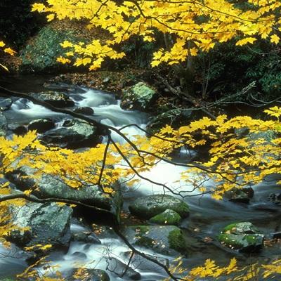 开玩棋牌app下载